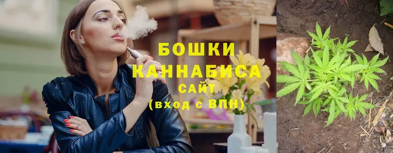 дарнет шоп  Новосибирск  мориарти клад  Бошки марихуана SATIVA & INDICA  кракен ТОР 